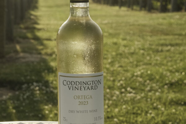 Coddington Vineyard 0003